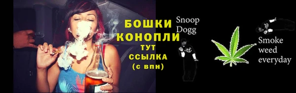 спиды Мегион