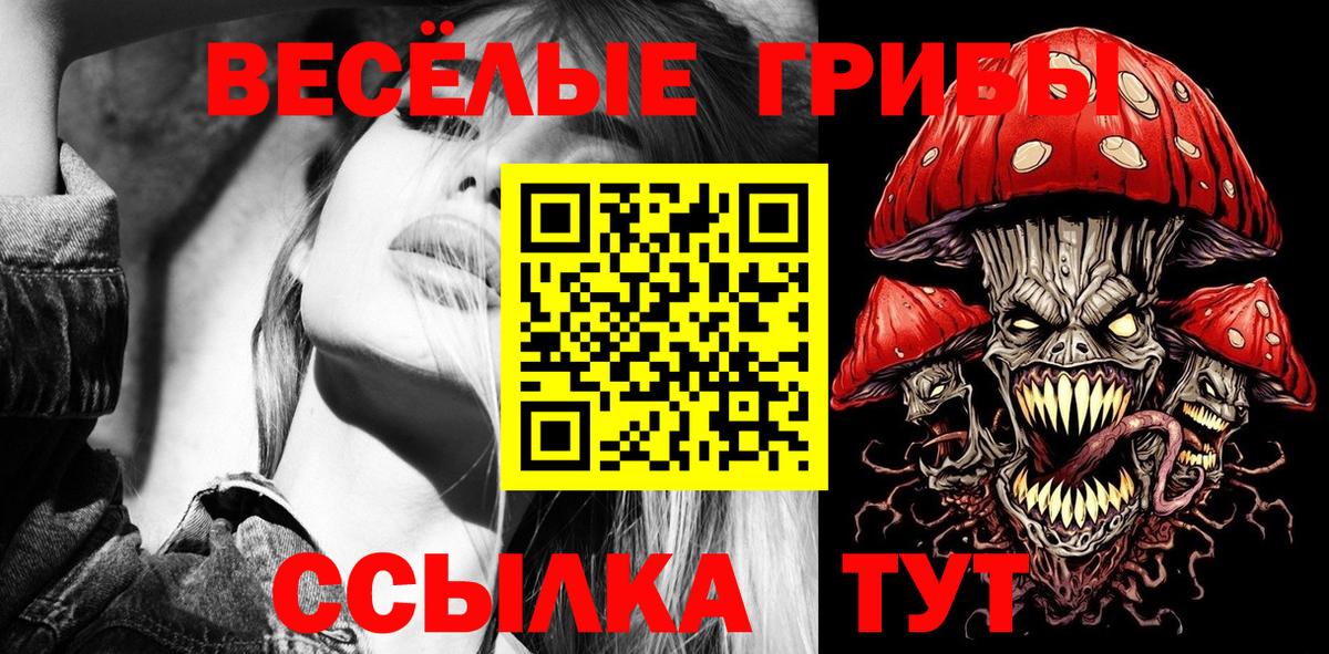 Дмитров  Галлюциногенные грибы прущие грибы  Вход с VPN 