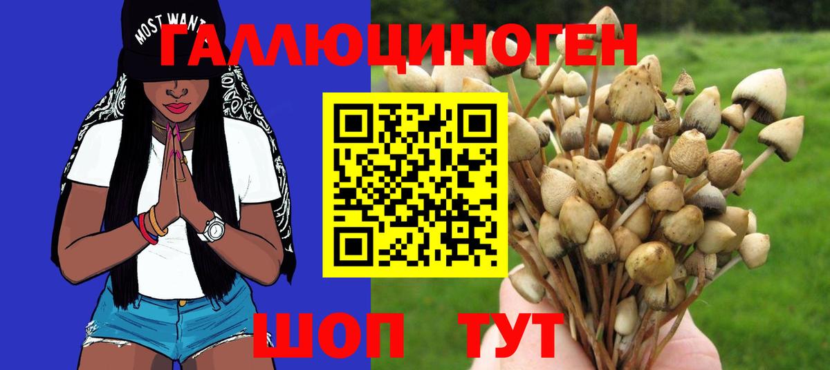 Галлюциногенные грибы мицелий Дмитров